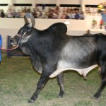 Secretário participa da 71ª Exposição Agropecuária de Sergipe  -
