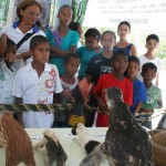 Exposição Itinerante “Mata Atlântica é Aqui permanece em Aracaju até 4 de novembro - Fotos: Ascom/Semarh