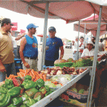 Técnicos e agricultores da Paraíba participam de intercâmbio sobre agricultura orgânica -