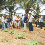 Técnicos e agricultores da Paraíba participam de intercâmbio sobre agricultura orgânica -