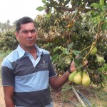 Cohidro propicia cultivo de maçã