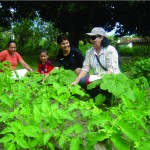Governo incentiva o cultivo de hortaliças domésticas em Lagarto - Fotos: Ascom/Emdagro