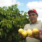 Frutos da Terra: Seides monitora execução do PAA em 12 municípios -