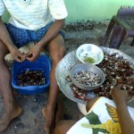 Núcleo de Apoio à Pesquisa para Cultura estuda identidade cultural de quilombolas em Santa Luzia do Itanhi - Fotos:Ascom/Secult