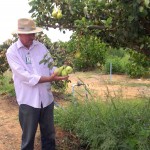 Cohidro propicia cultivo de maçã