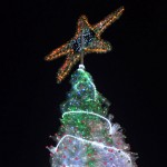 rvore de Natal Ecológica é inaugurada no Centro de Criatividade  - Árvore tem 12 metros de altura
