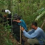 Pesquisadores encontram um dos menores lagartos do Brasil no RVS Mata do Junco -