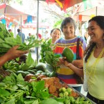 Feira da Agricultura Familiar acontece nesta quinta