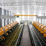 Balança Comercial aponta recorde nas exportações sergipanas em 2012 - Produção de laranja /Foto: Site da Maratá