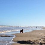 Paisagem deslumbrante da Atalaia Nova é o cenário do Verão Sergipe 2013  - Praça de Eventos fica em frente à praia / Fotos: Fabiana Costa/Secult