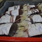 Hemose precisa de sangue Rh negativo - Fotos: Ascom/ FSPH