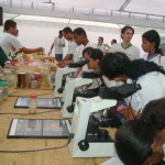 Fapitec lança edital de bolsa para Iniciação Científica Júnior - Foto: Ascom/Sedetec