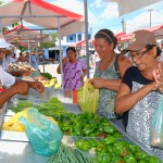 Feira da Agricultura Familiar será realizada mensalmente na Seed -  Foto: Edinah Mary/Inclusão Social