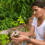 Mulheres rurais assistidas pela Emdagro participam de concurso - Fotos: Ascom/Emdagro