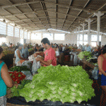 Mulheres rurais assistidas pela Emdagro participam de concurso - Fotos: Ascom/Emdagro