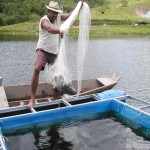 Cohidro agrega à piscicultura o uso da energia solar - Fotos: Ascom/Cohidro