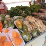 Perímetros irrigados da Cohidro batem recorde de produção - Fotos: Ascom/Cohidro