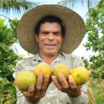 Governo promove 3º seminário para catadores de laranja - Foto: Edinah Mary/Inclusão