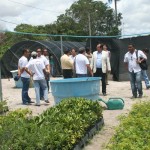 Viveiro de espécies nativas garante reposição de mudas em matas ciliares -
