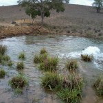Furto de água provoca desabastecimento em Carira - Vazamento da adutora nova