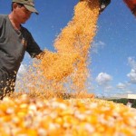 Governo de Sergipe realiza entrega de equipamentos e sementes para pequenos agricultores - Imagem: Divulgação