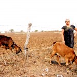 agricultor e criador de ovelhas no povoado Cacimba Nova