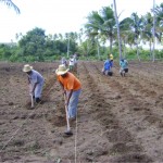 Arranjos produtivos locais é tema de reunião em Japaratuba   - Foto: Ascom/Emdagro