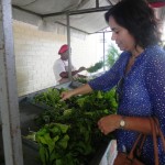 Feira da Agricultura Familiar acontece na Semana da Saúde da Petrobrás   - Fotos: Ascom/Inclusão Social