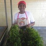 Feira da Agricultura Familiar acontece na Semana da Saúde da Petrobrás   - Fotos: Ascom/Inclusão Social
