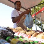 Feira da Agricultura Familiar é montada mais uma vez no Complexo Administrativo e Pedagógico da Seed - A servidora pública Nivalda Cruz