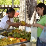 Feira da Agricultura Familiar é montada mais uma vez no Complexo Administrativo e Pedagógico da Seed - A servidora pública Nivalda Cruz