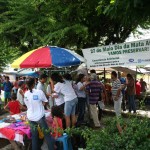 Semarh desenvolve atividades para celebrar o Dia da Mata Atlântica -