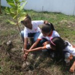 Projeto 'Plantando Verde' vai a Escola Professor Alcebíades Melo   - Fotos: Ascom/Semarh