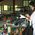 Semarh avalia trabalhos da VII Olimpíada Ambiental   - Fotos: Ascom/Semarh