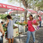 acontece mais uma edição da Feira da Agricultura Familiar - Fotos: Eugênio Barreto/Seed