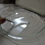 Lacen realiza treinamento para identificação das larvas do Aedes Aegypti e Albopictus - Pamela Keuren Coleta de Santana