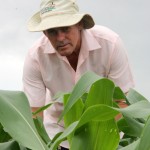 Investimentos do Governo aumentam safra de milho em Lagarto - Fotos: Ascom/Cohidro