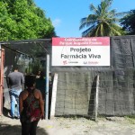 Passeios terapêuticos fazem parte da rotina dos acolhidos do Cemec -