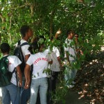 Semarh comemora Dia Mundial do Meio Ambiente no Parque dos Cajueiros - (Fotos: Valéria Lima  Ascom/Saúde)