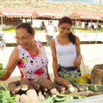 Feira da Agricultura Familiar é implantada em Indiaroba - Fotos: Edinah Mary/Seides
