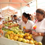 Feira da Agricultura Familiar é implantada em Indiaroba - Fotos: Edinah Mary/Seides