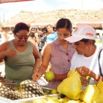 Feira da Agricultura Familiar é implantada em Indiaroba - Fotos: Edinah Mary/Seides