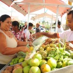 Feira da Agricultura Familiar é implantada em Indiaroba - Fotos: Edinah Mary/Seides