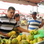 Feira da Agricultura Familiar é implantada em Indiaroba - Fotos: Edinah Mary/Seides
