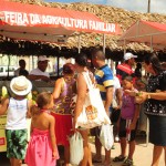 Feira da Agricultura Familiar é implantada em Indiaroba - Fotos: Edinah Mary/Seides