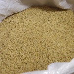 Jackson Barreto entrega 300 toneladas de sementes de arroz em Ilha das Flores -