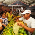 Governo inaugura Feira da Agricultura Familiar em Estância  - Fotos: Edinah Mary/Seides