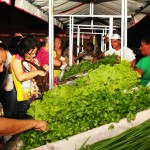 Governo inaugura Feira da Agricultura Familiar em Estância  - Fotos: Edinah Mary/Seides