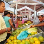 Governo inaugura Feira da Agricultura Familiar em Estância  - Fotos: Edinah Mary/Seides