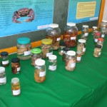 Conferência Livre de Meio Ambiente discute Resíduos Marinhos -
